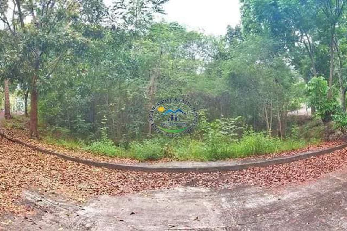 Land for Sale in Greenville Heights, Casili, Consolacion, Cebu – photo 6