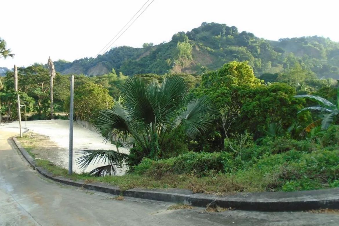 Land for Sale in Greenwoods Cebu, Talamban, Cebu City, Cebu – photo 2