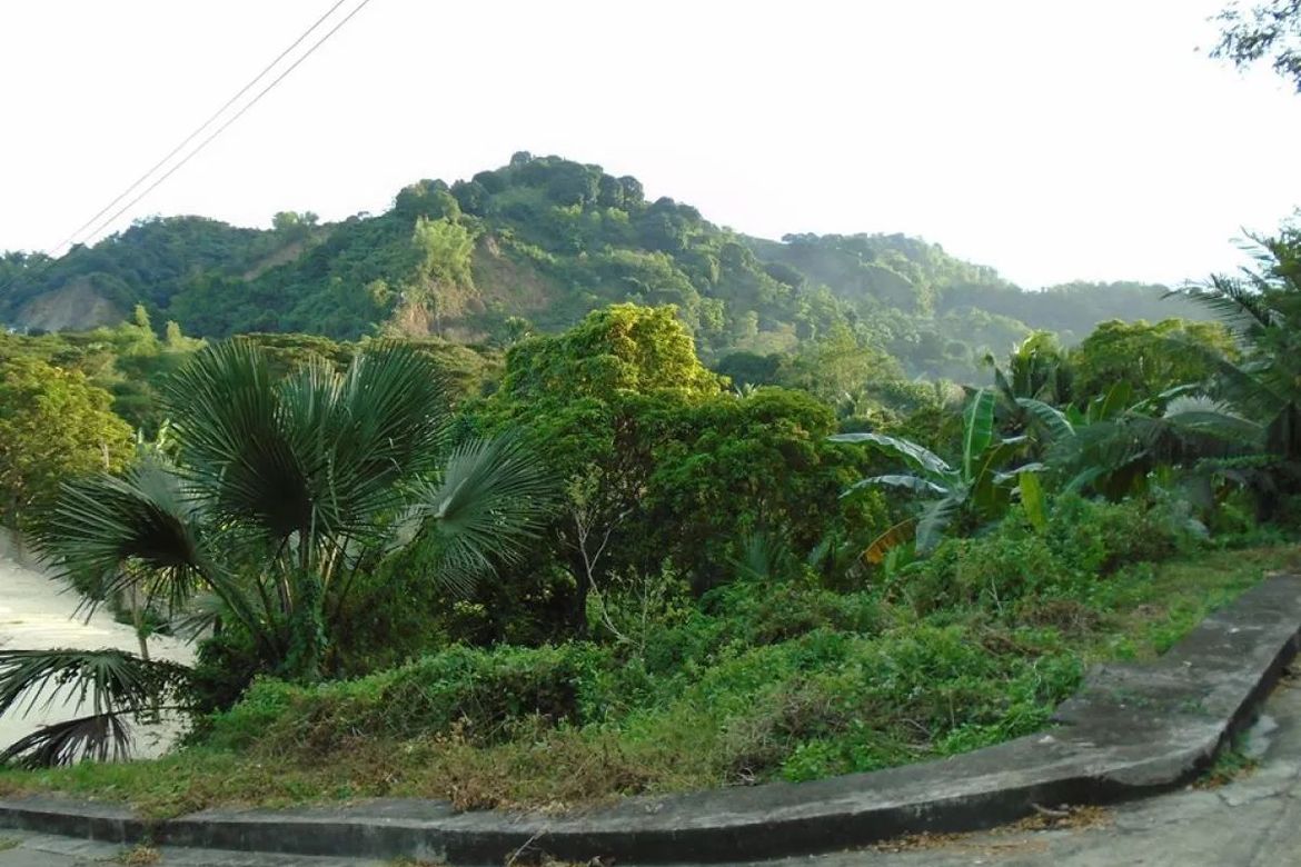 Land for Sale in Greenwoods Cebu, Talamban, Cebu City, Cebu – photo 3