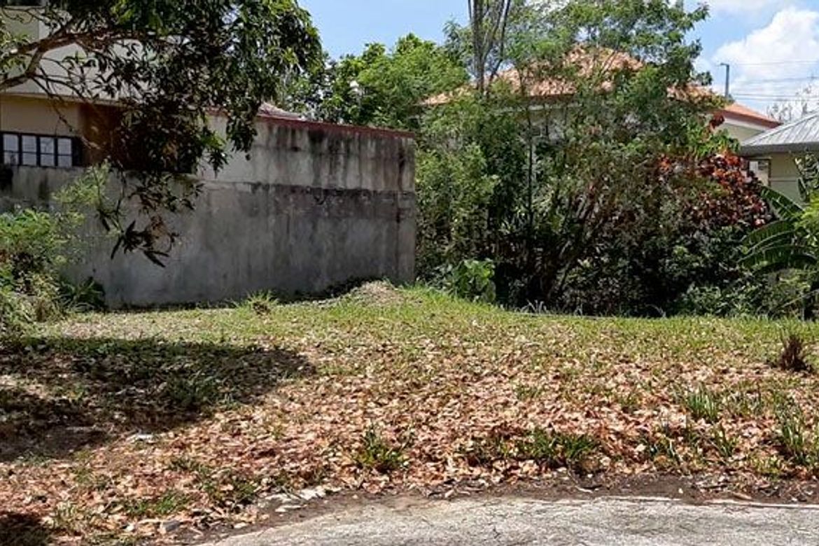 Land for Sale in Greenwoods Village - Dasmariñas, Paliparan I, Dasmariñas, Cavite – photo 3