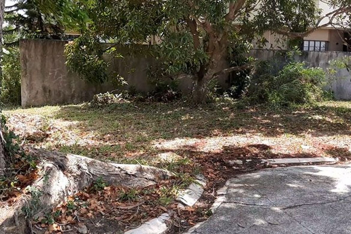 Land for Sale in Greenwoods Village - Dasmariñas, Paliparan I, Dasmariñas, Cavite – photo 4