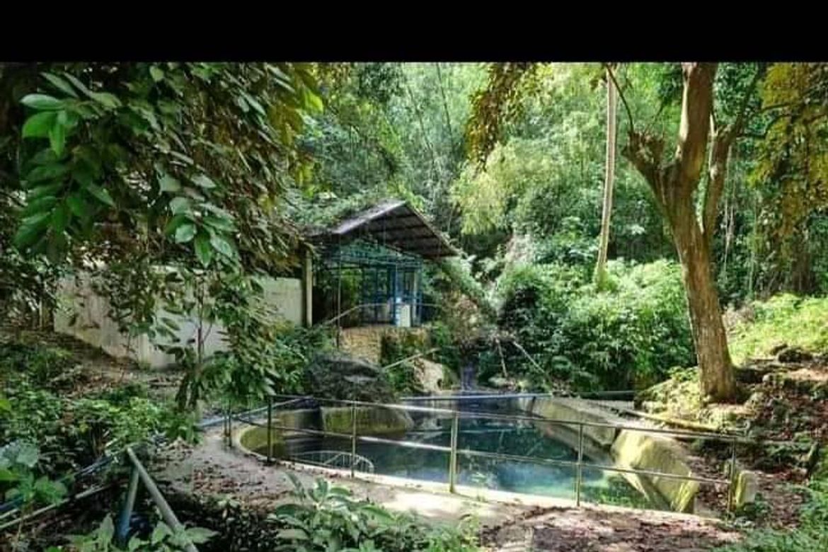 Land for Sale in Guadalupe, Carcar, Cebu