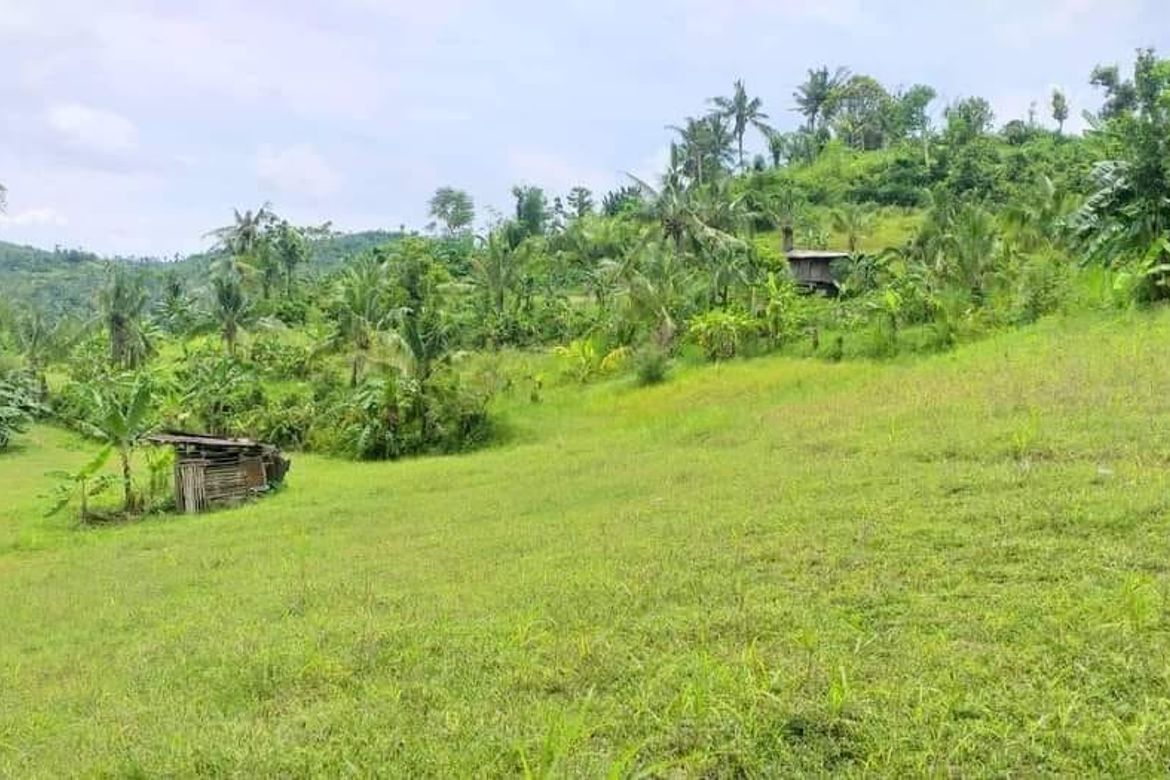Land for Sale in Guadalupe, Carcar, Cebu