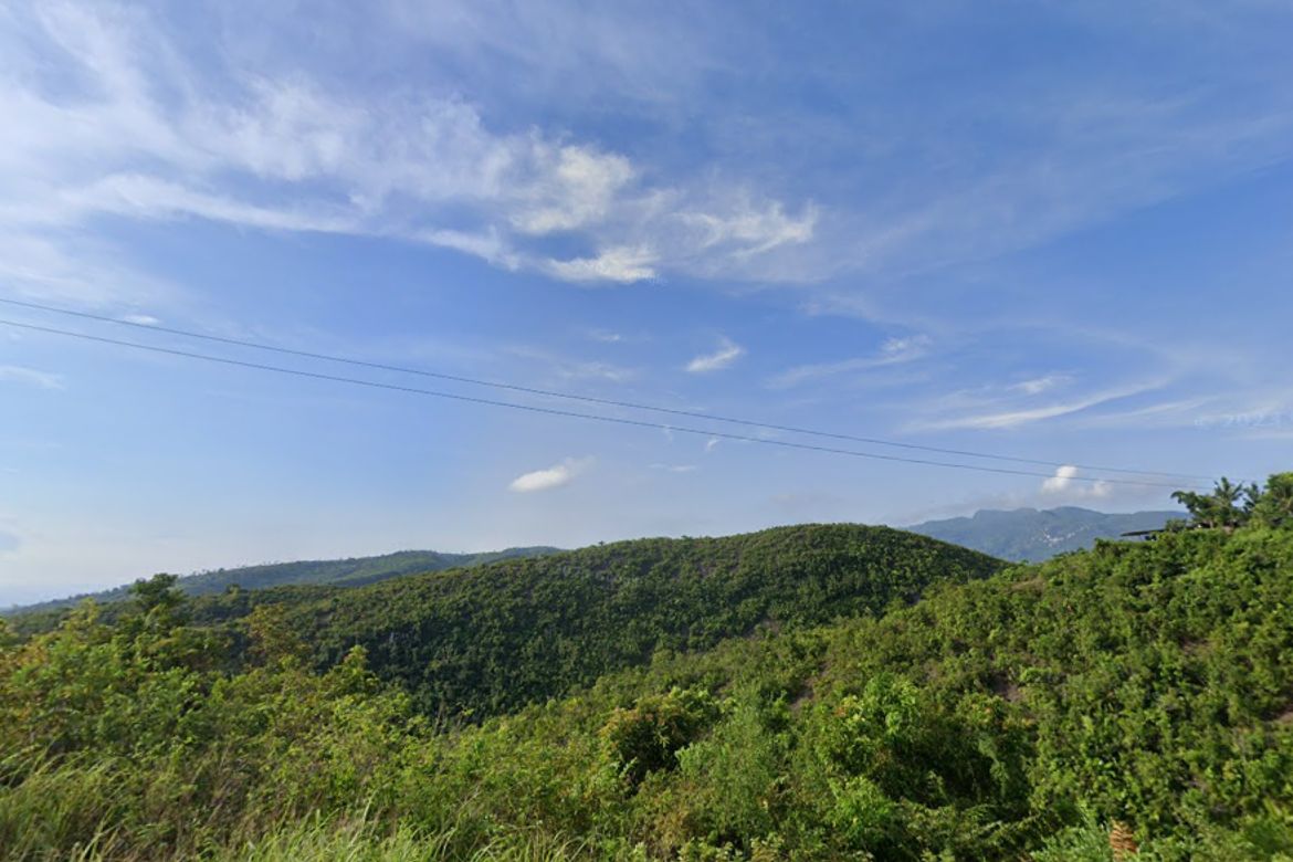 Land for Sale in Guadalupe, Carcar, Cebu