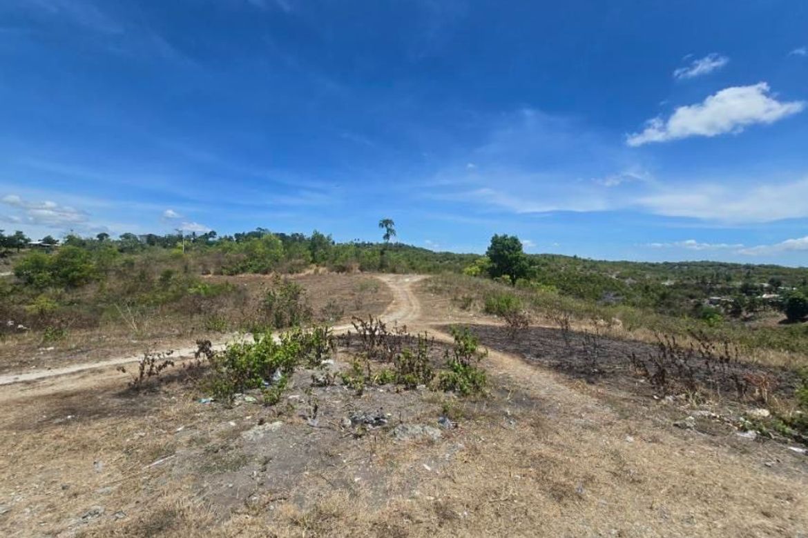 Land for Sale in Guadalupe, Carcar, Cebu – photo 4