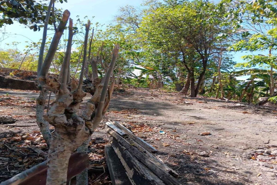 Land for Sale in Guadalupe, Cebu City, Cebu – photo 3