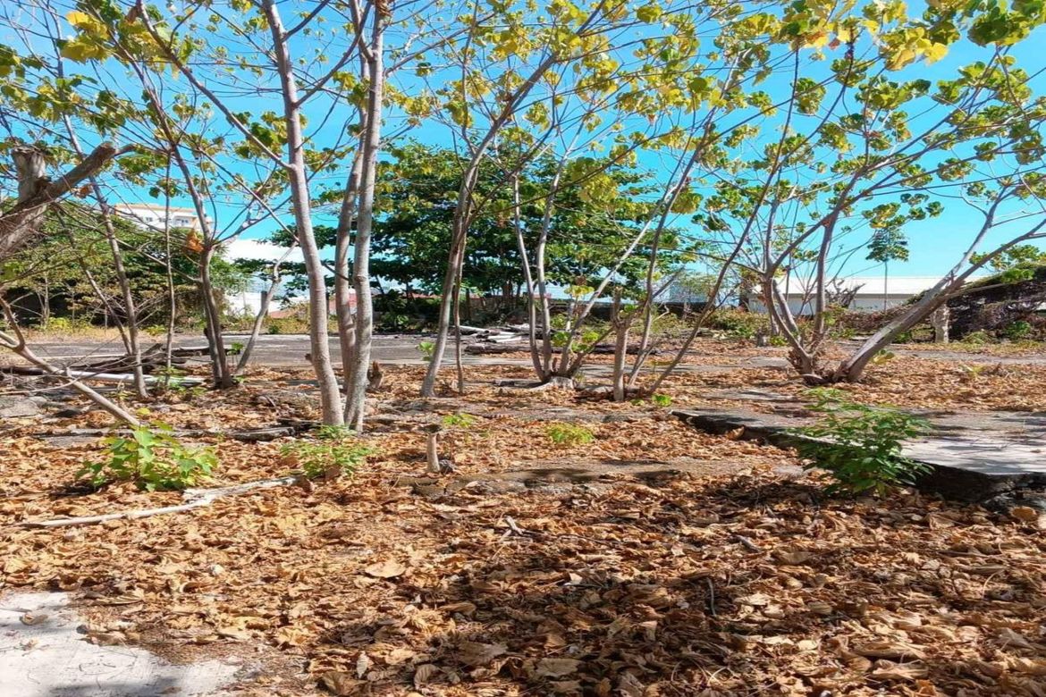 Land for Sale in Guadalupe, Cebu City, Cebu – photo 7