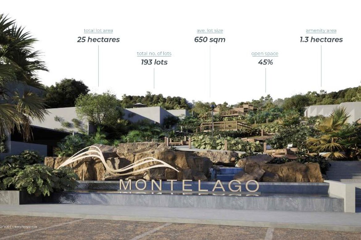 Land for Sale in Guadalupe, Cebu City, Cebu – photo 3