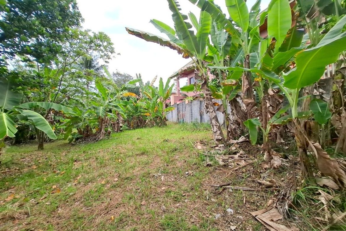 Land for Sale in Guadalupe, Cebu City, Cebu – photo 5