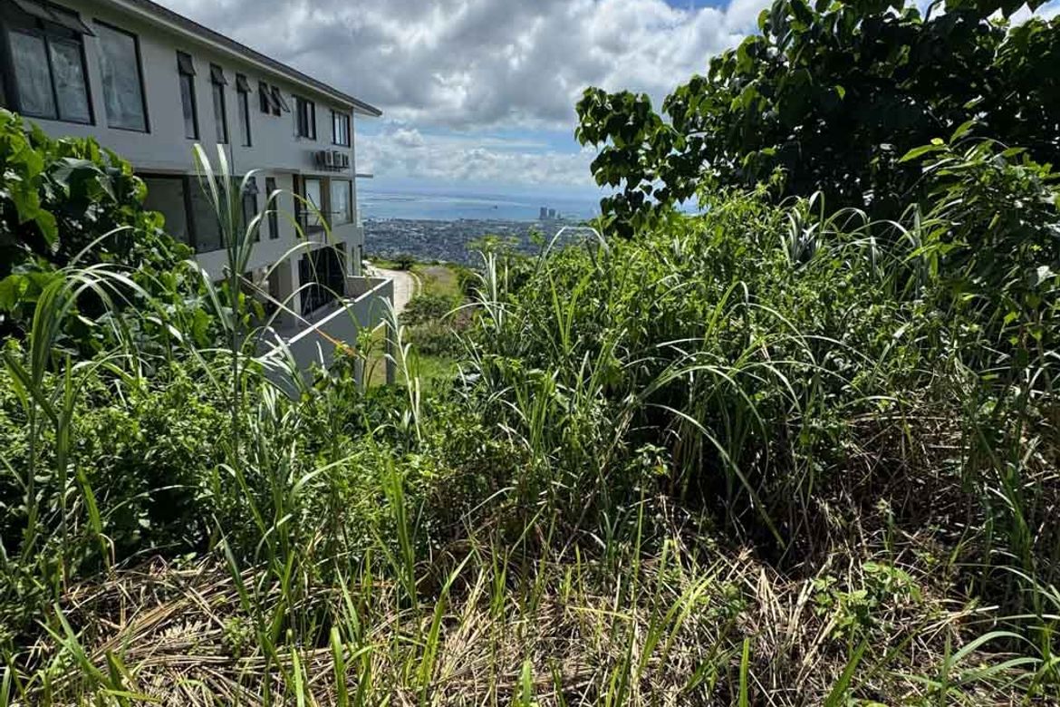 Land for Sale in Guadalupe, Cebu City, Cebu – photo 7