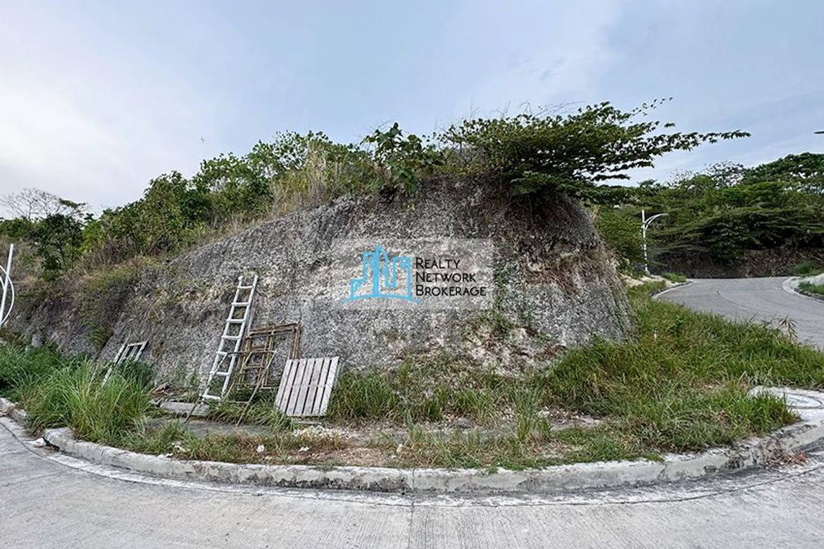 Land for Sale in Guadalupe, Cebu City, Cebu
