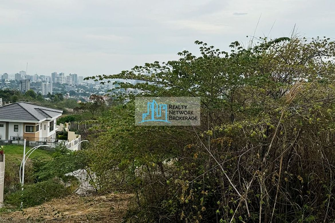 Land for Sale in Guadalupe, Cebu City, Cebu – photo 2