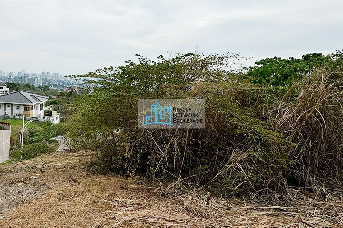 Land for Sale in Guadalupe, Cebu City, Cebu – photo 3