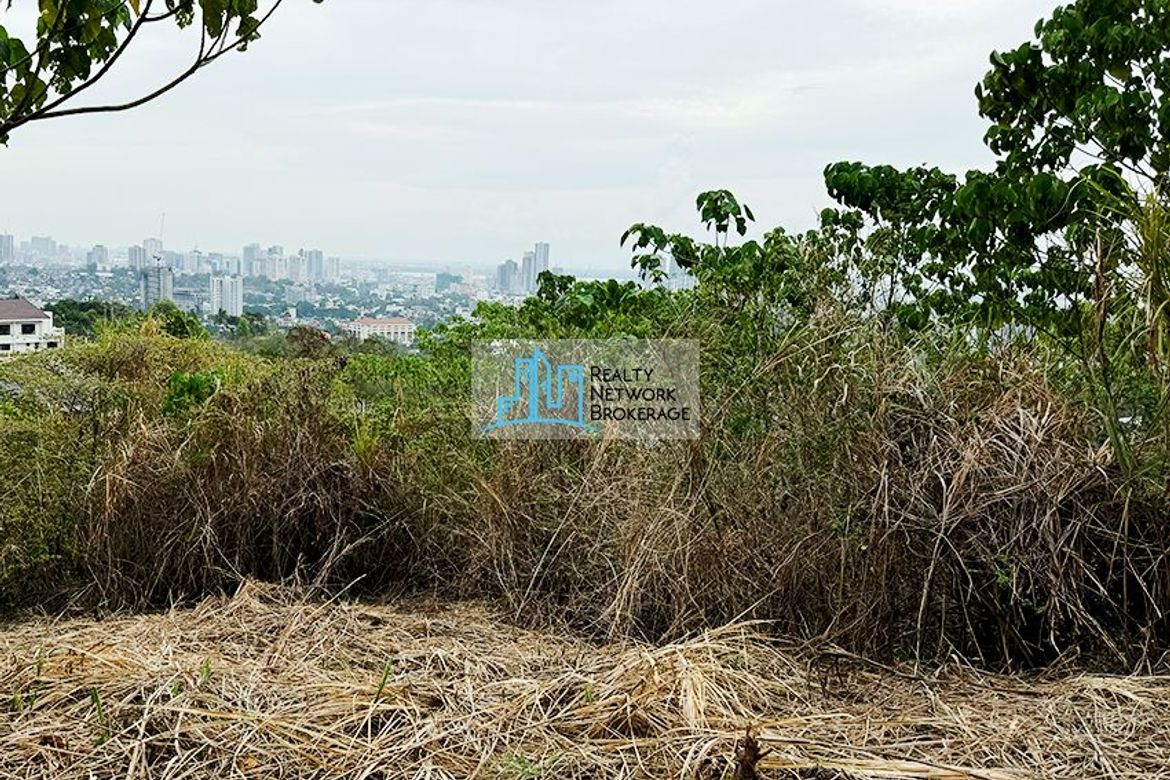Land for Sale in Guadalupe, Cebu City, Cebu – photo 5