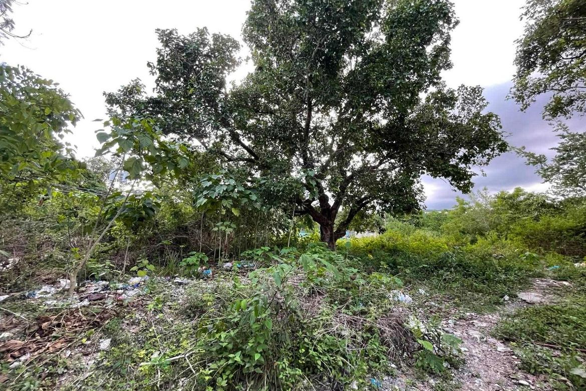 Land for Sale in Guadalupe, Cebu City, Cebu – photo 5