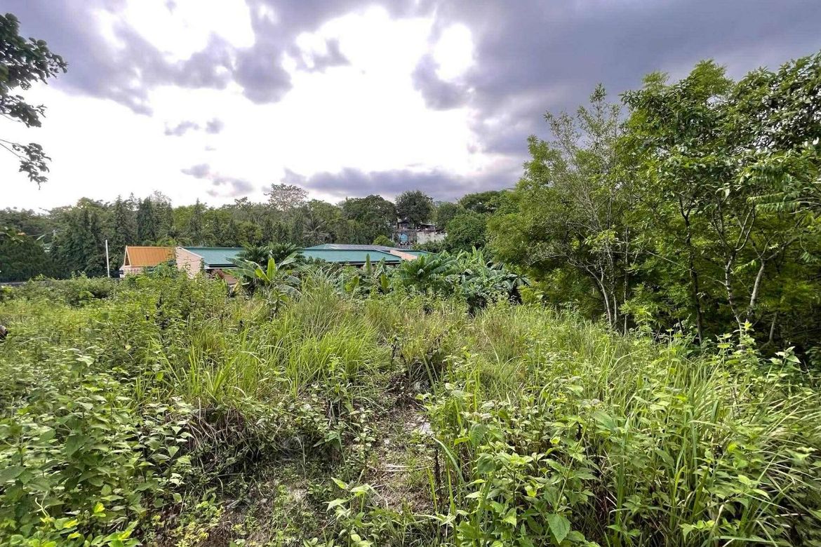 Land for Sale in Guadalupe, Cebu City, Cebu – photo 6