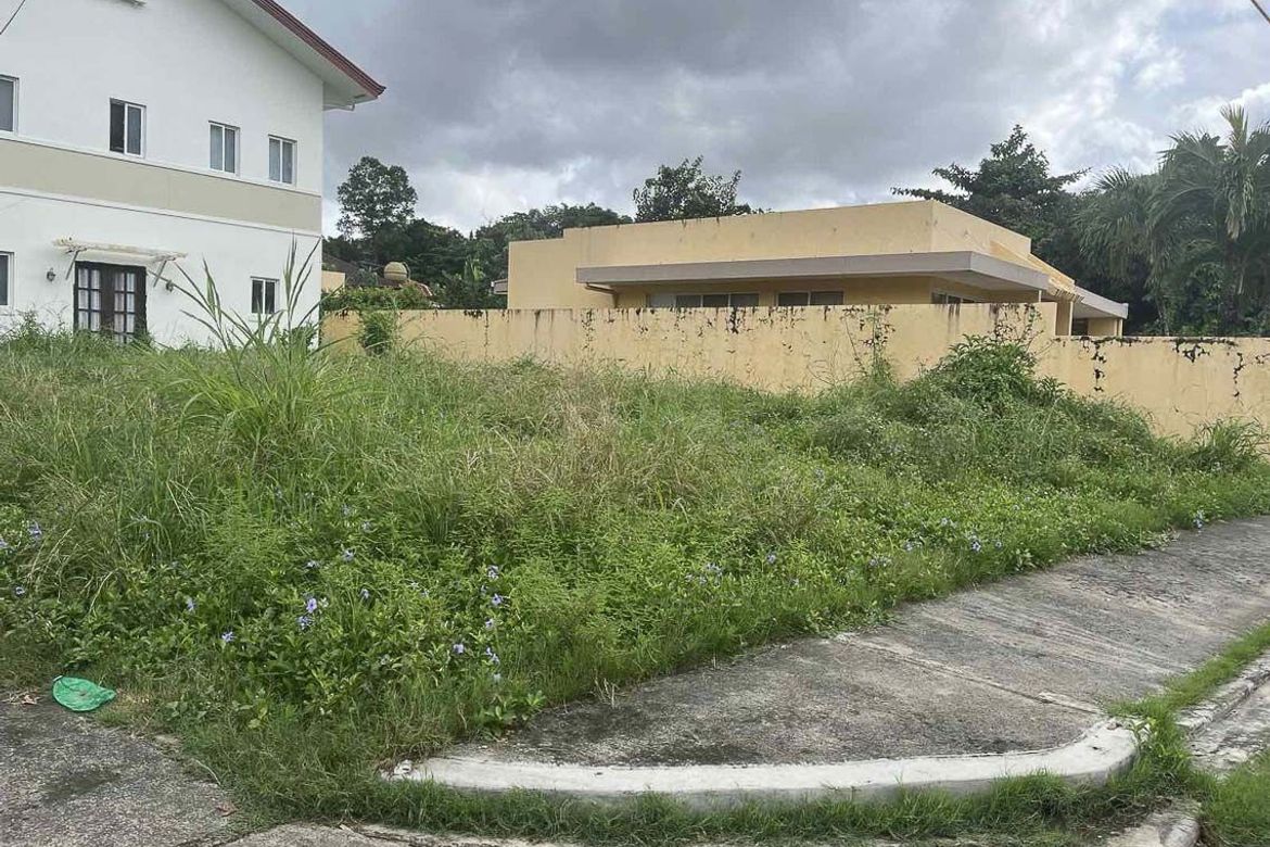 Land for Sale in Guadalupe, Cebu City, Cebu – photo 4