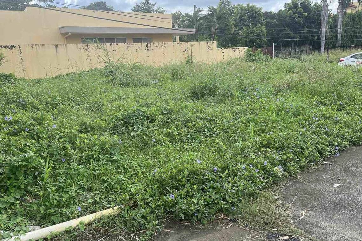 Land for Sale in Guadalupe, Cebu City, Cebu – photo 5