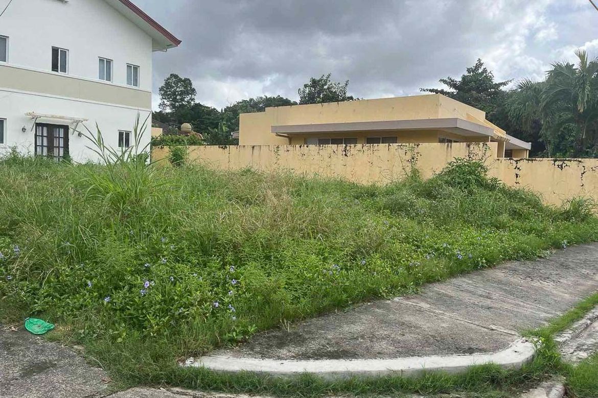 Land for Sale in Guadalupe, Cebu City, Cebu – photo 6