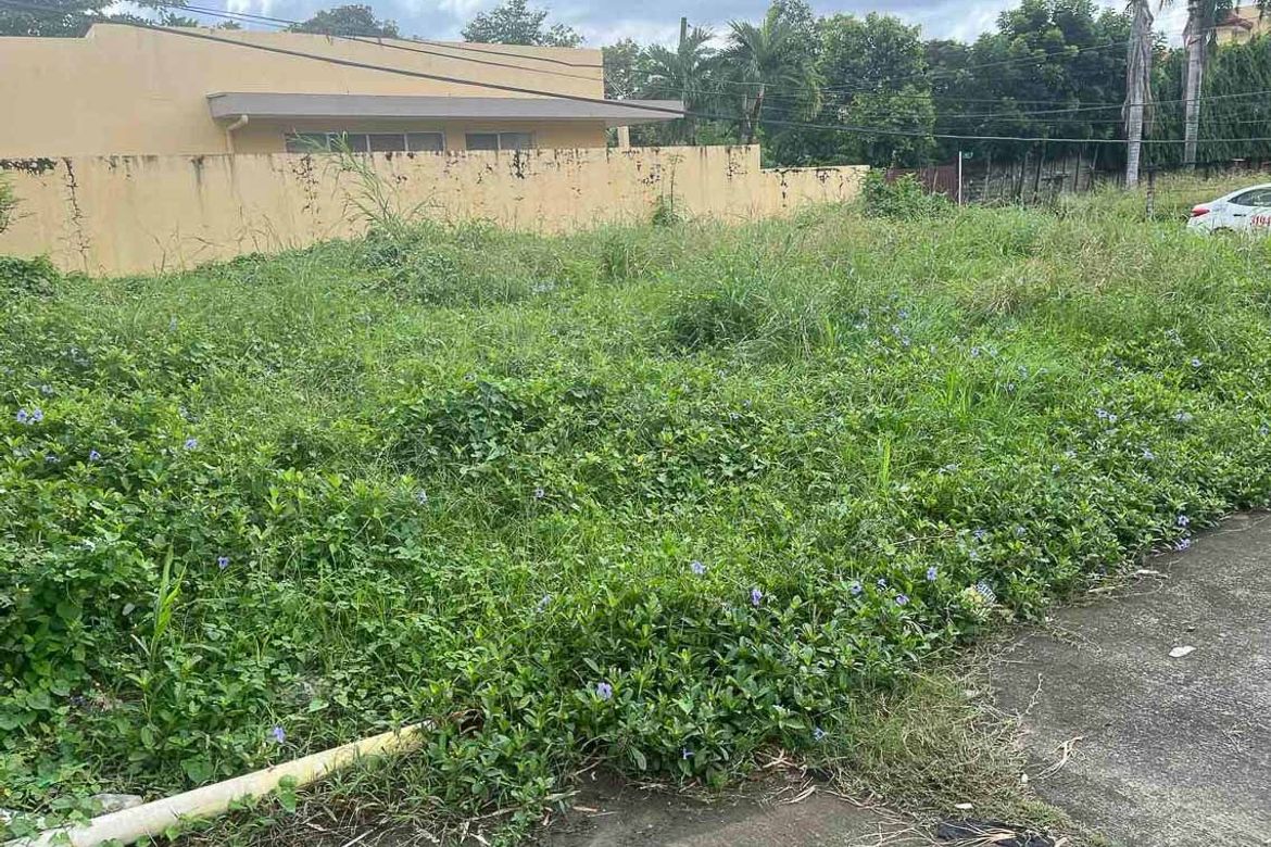 Land for Sale in Guadalupe, Cebu City, Cebu – photo 7