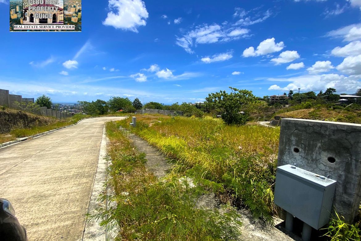 Land for Sale in Guadalupe, Cebu City, Cebu – photo 5