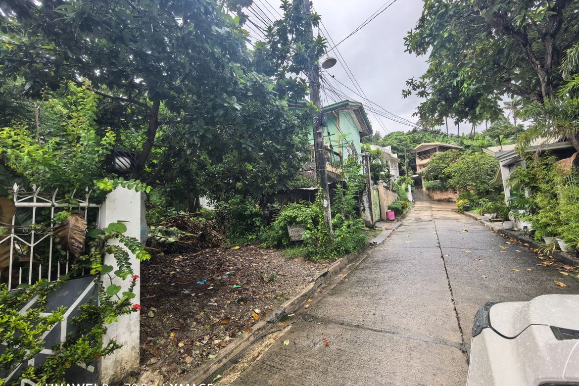 Land for Sale in Guadalupe, Cebu City, Cebu – photo 2