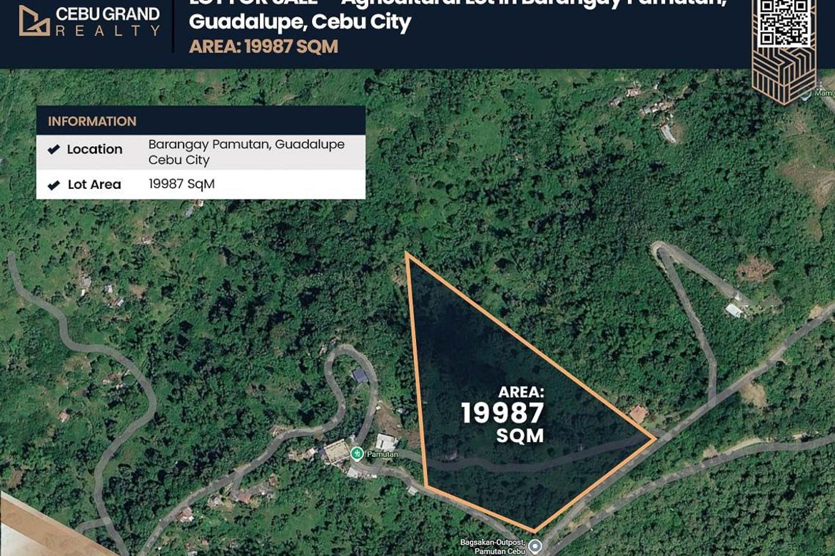 Land for Sale in Guadalupe, Cebu City, Cebu