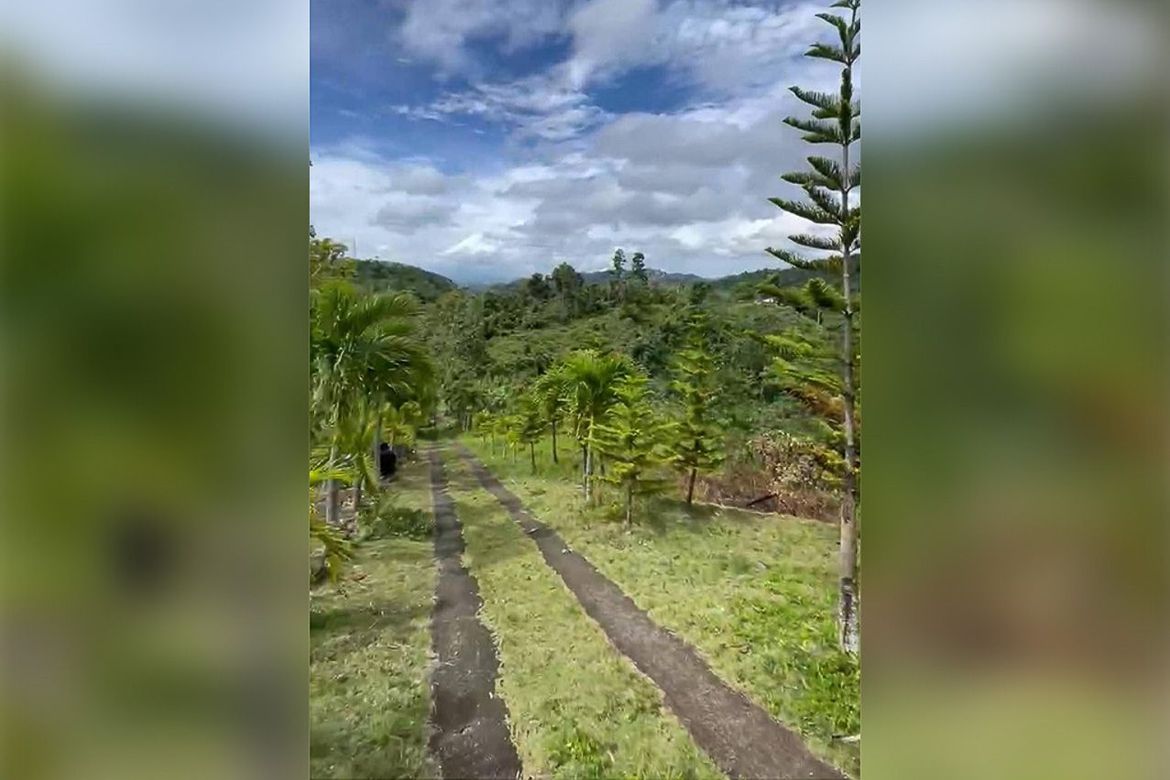 Land for Sale in Guadalupe, Cebu City, Cebu – photo 3