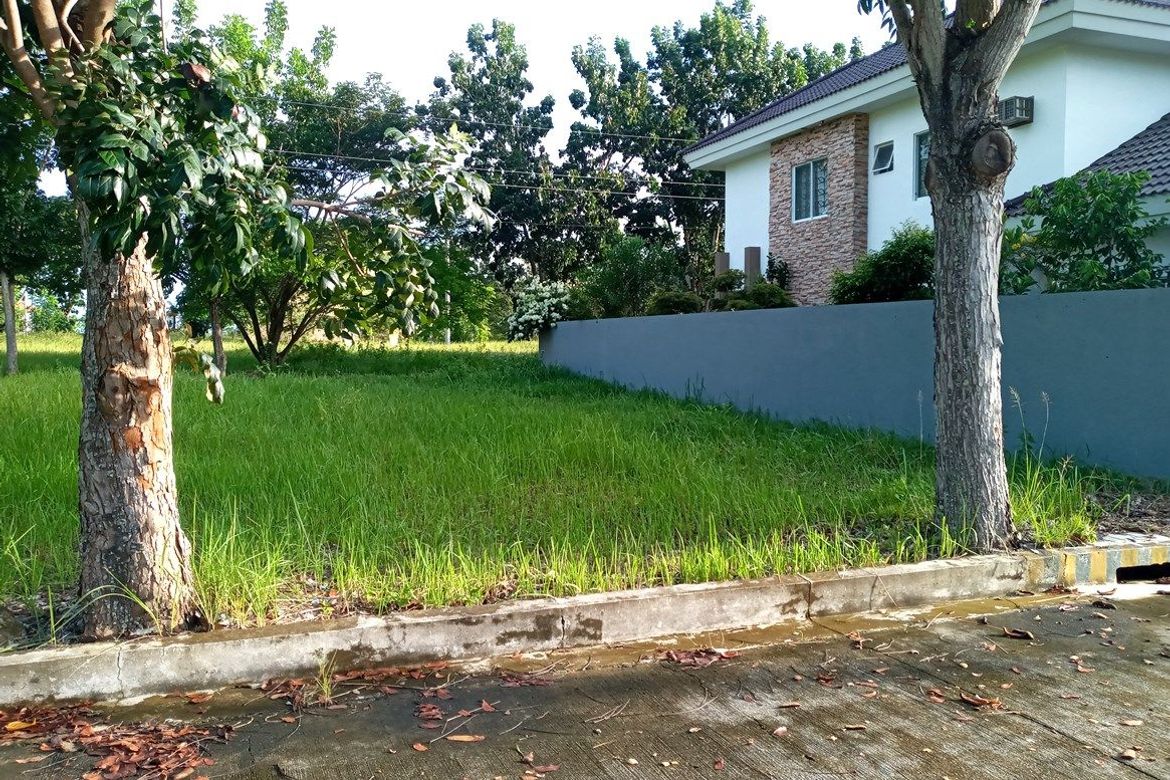 Land for Sale in Guadalupe, Cebu City, Cebu – photo 2