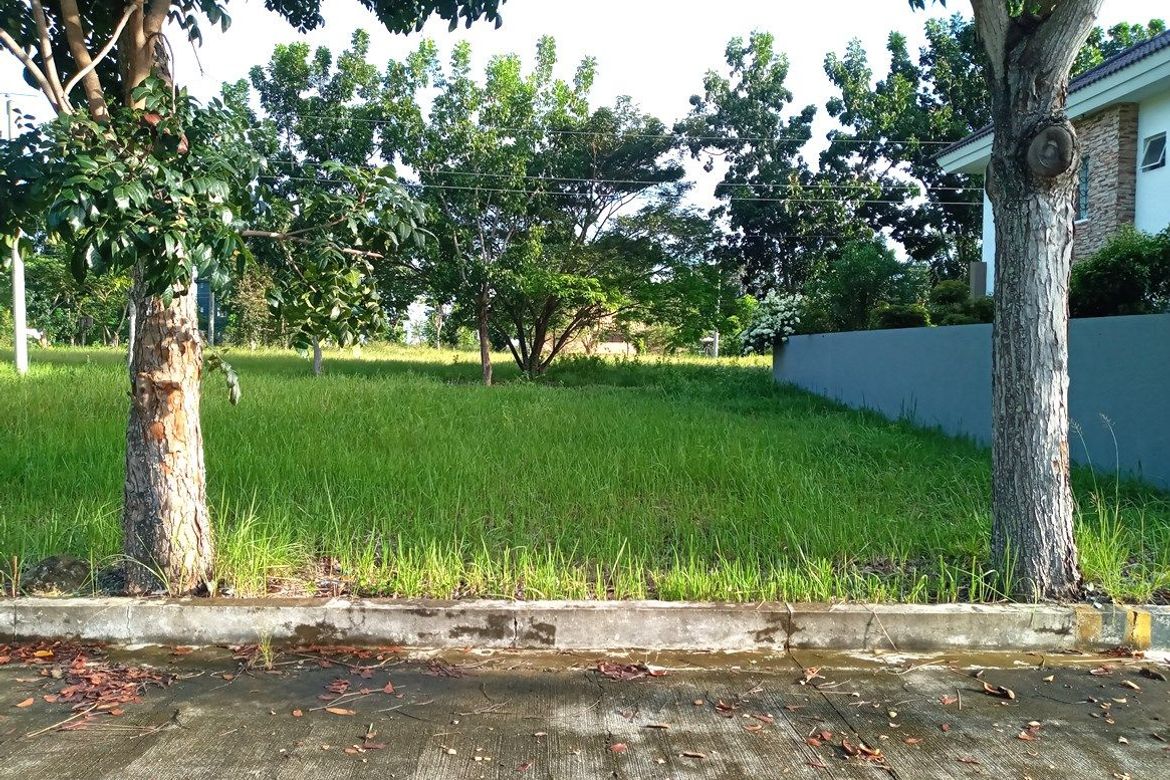 Land for Sale in Guadalupe, Cebu City, Cebu – photo 4