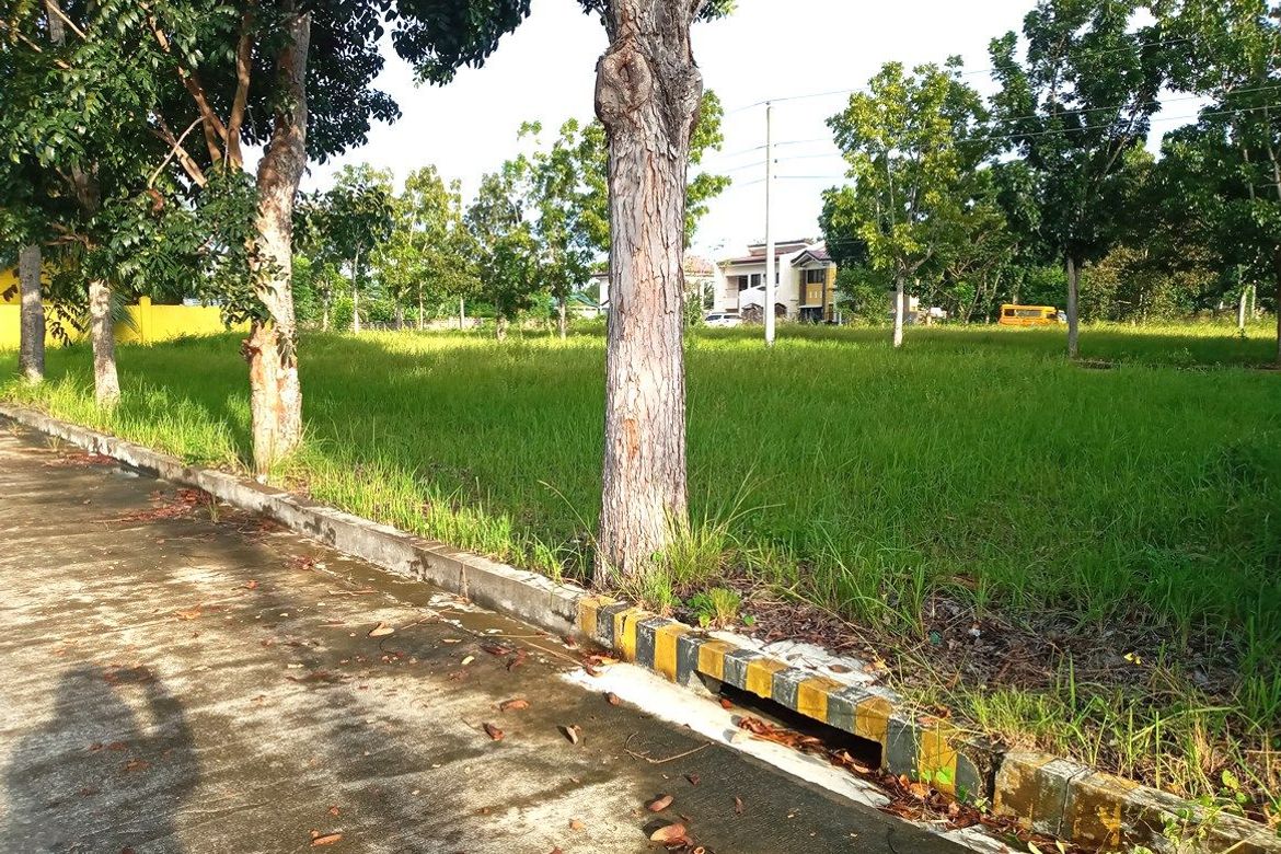 Land for Sale in Guadalupe, Cebu City, Cebu – photo 5