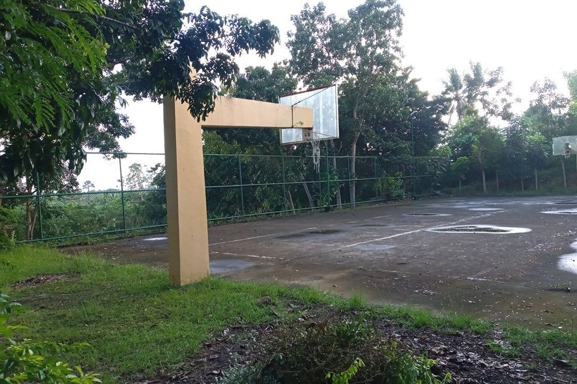Land for Sale in Guadalupe, Cebu City, Cebu – photo 6