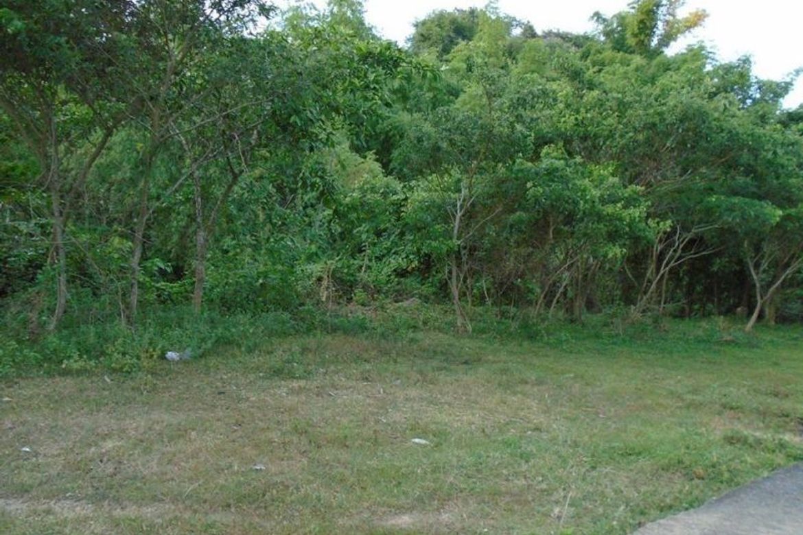 Land for Sale in Guadalupe, Cebu City, Cebu – photo 5