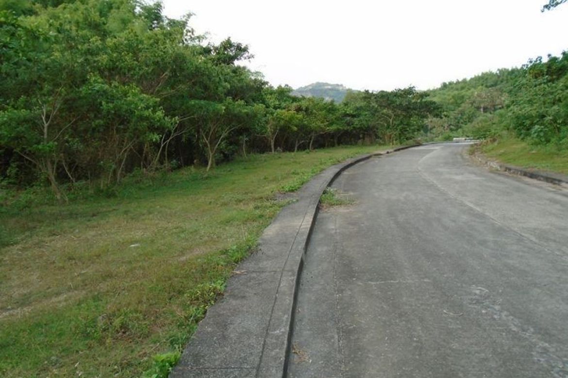 Land for Sale in Guadalupe, Cebu City, Cebu – photo 7