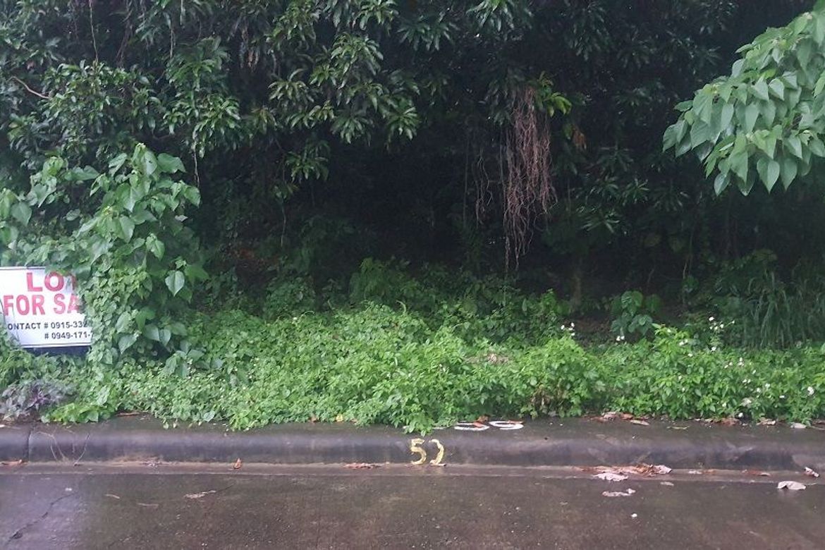 Land for Sale in Guadalupe, Cebu City, Cebu
