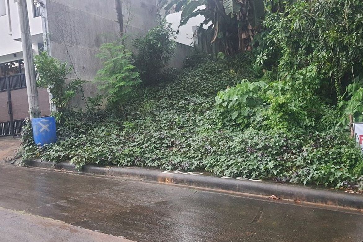 Land for Sale in Guadalupe, Cebu City, Cebu – photo 4