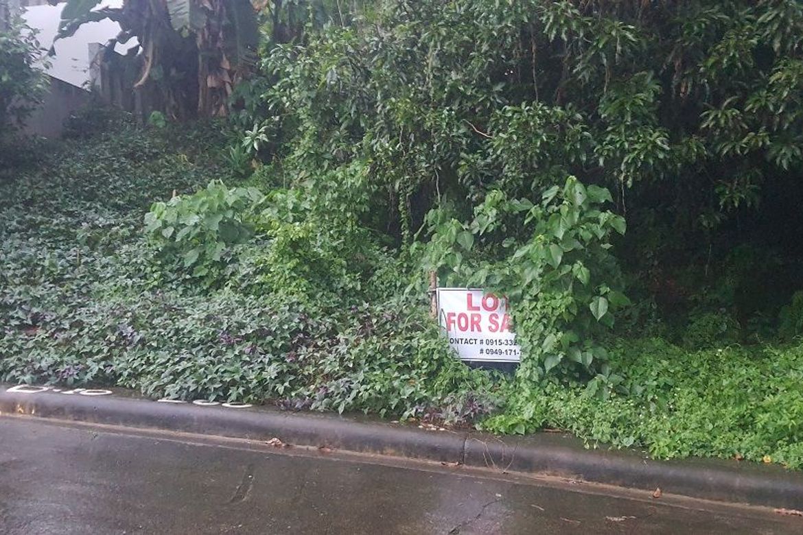Land for Sale in Guadalupe, Cebu City, Cebu – photo 6