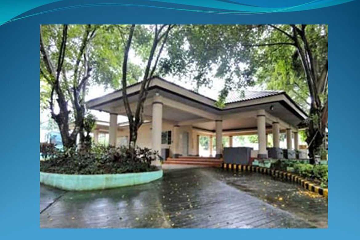 Land for Sale in Guadalupe, Cebu City, Cebu – photo 7
