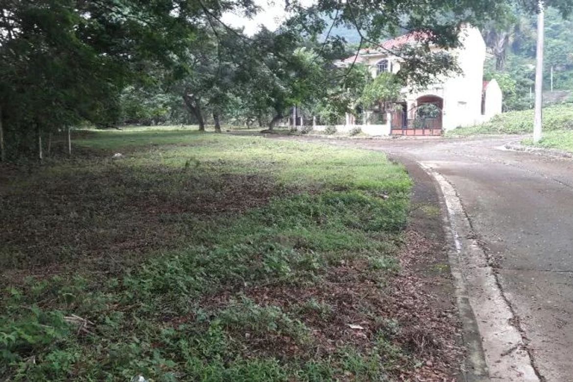 Land for Sale in Guadalupe, Cebu City, Cebu – photo 5