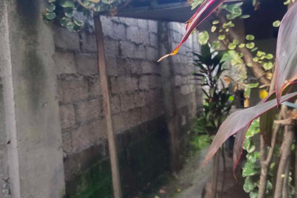Land for Sale in Guadalupe, Cebu City, Cebu – photo 3