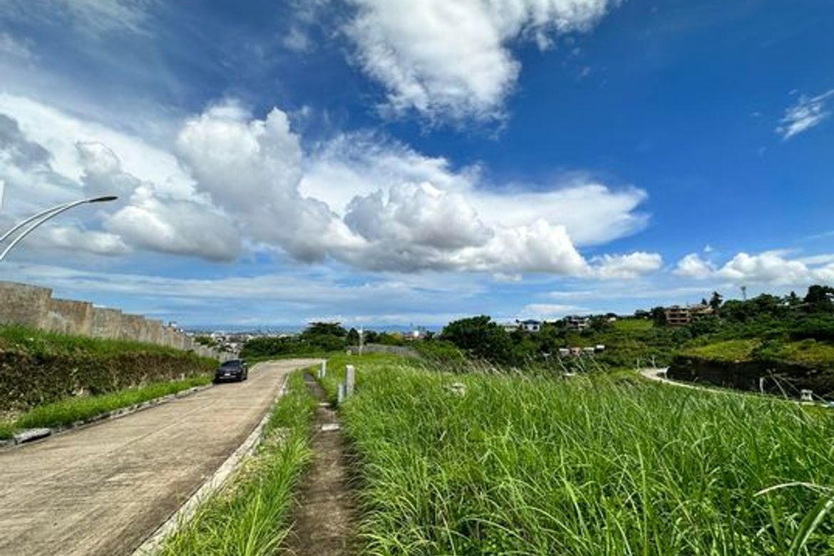 Land for Sale in Guadalupe, Cebu City, Cebu – photo 4