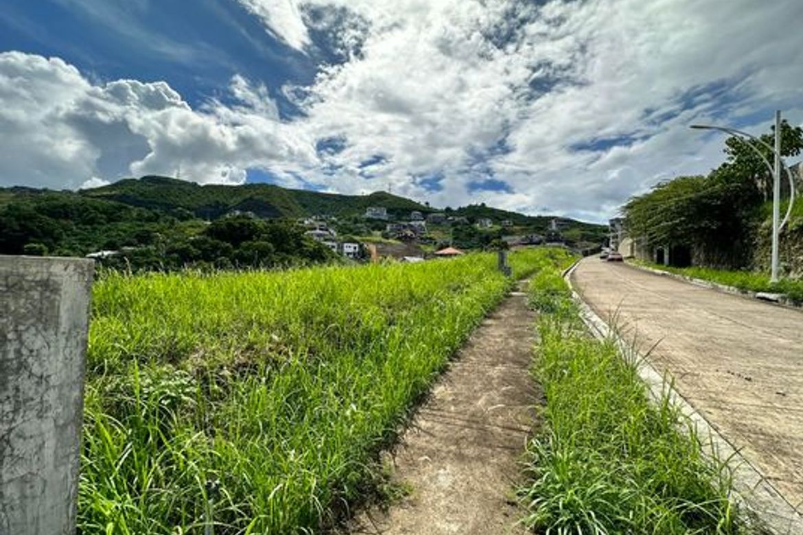 Land for Sale in Guadalupe, Cebu City, Cebu – photo 8