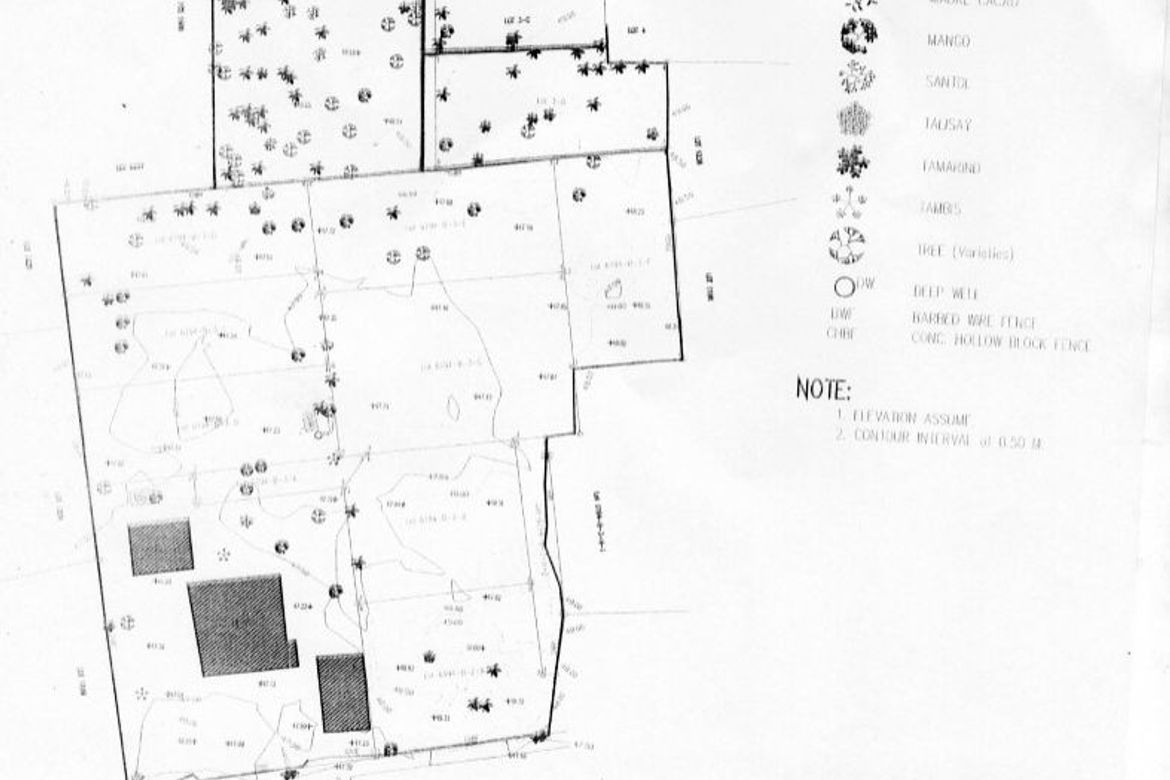 Land for Sale in Guadalupe, Cebu City, Cebu – photo 2