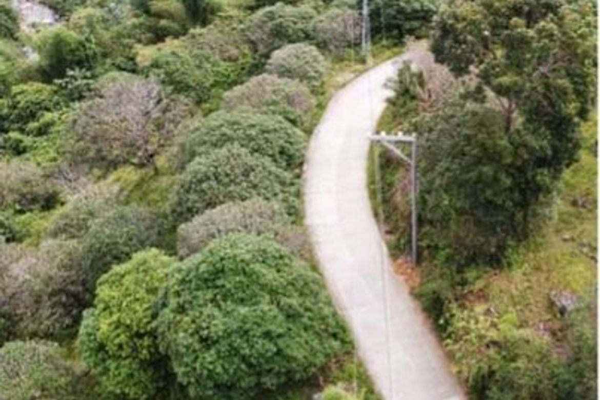 Land for Sale in Guba, Cebu City, Cebu