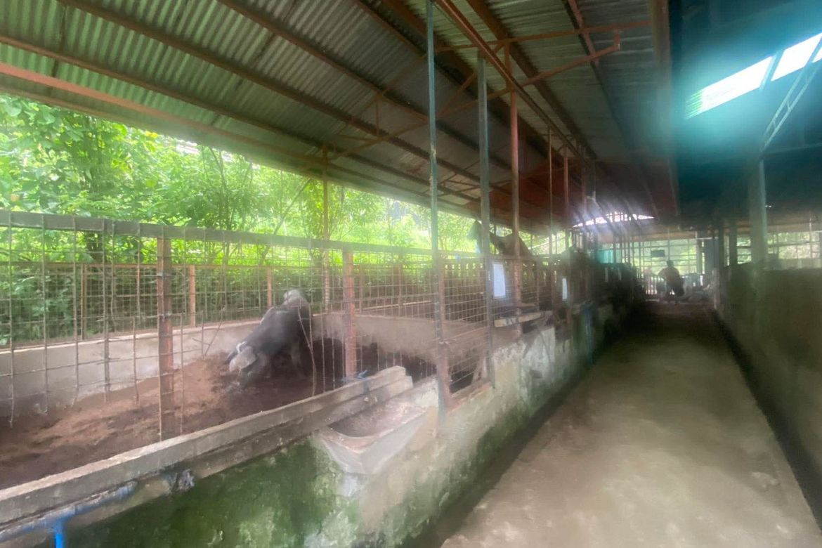Land for Sale in Guba, Cebu City, Cebu – photo 2
