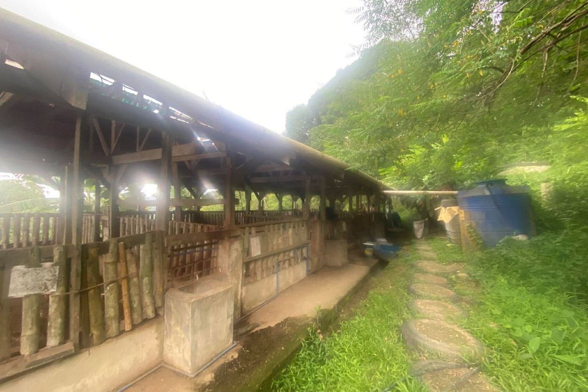 Land for Sale in Guba, Cebu City, Cebu – photo 6