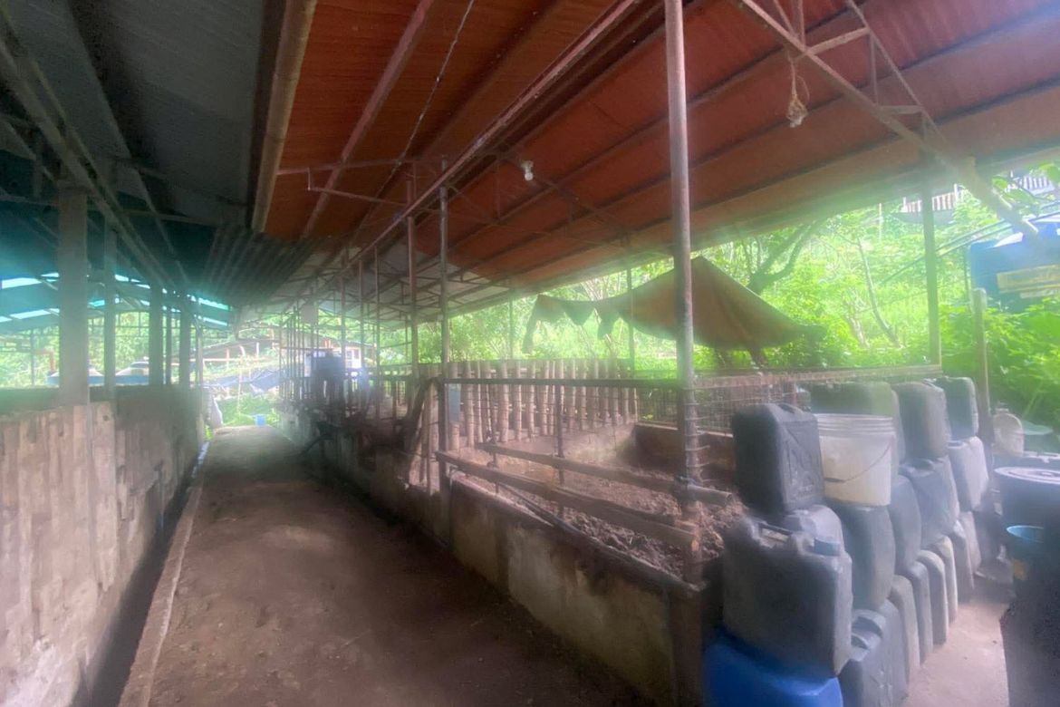 Land for Sale in Guba, Cebu City, Cebu – photo 8