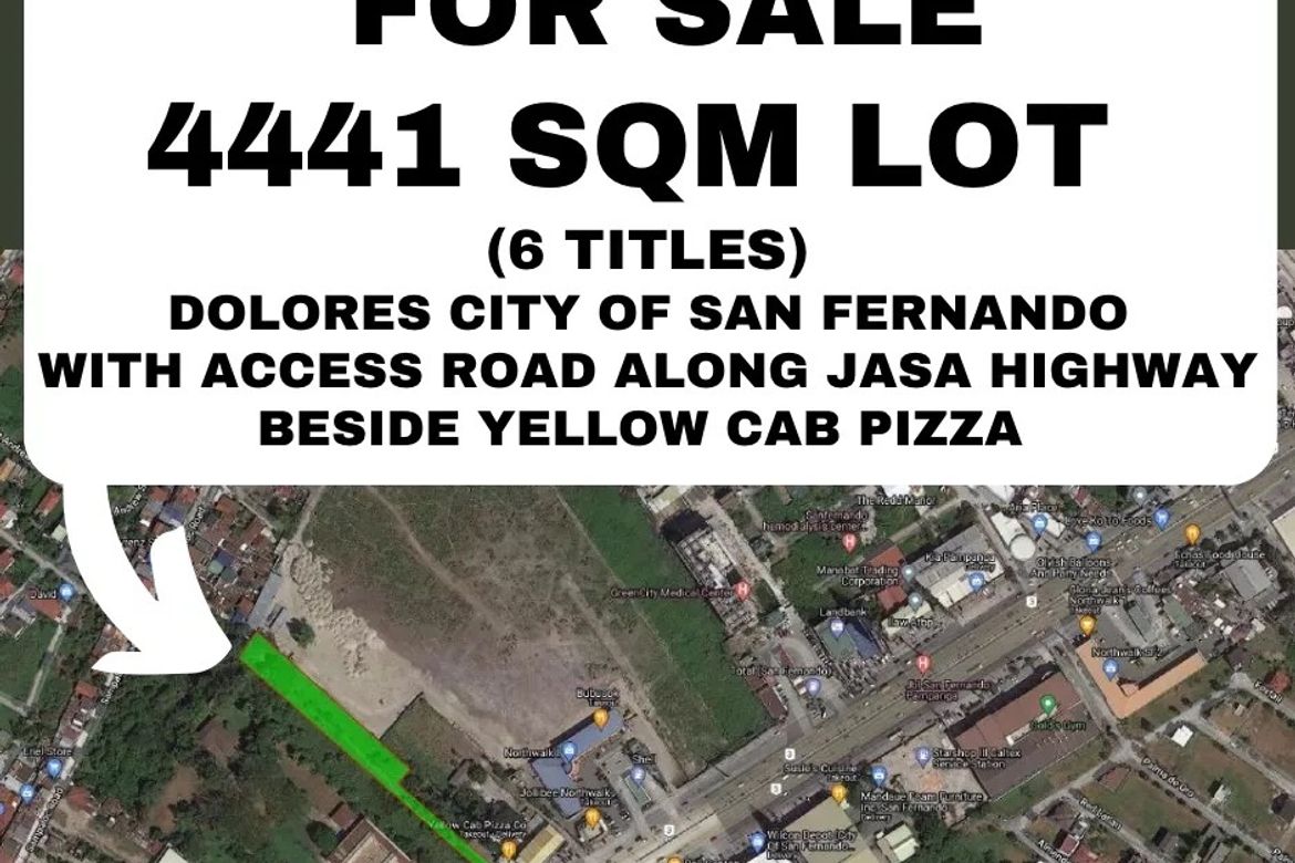 Land for Sale in Guevarra, La Paz, Tarlac