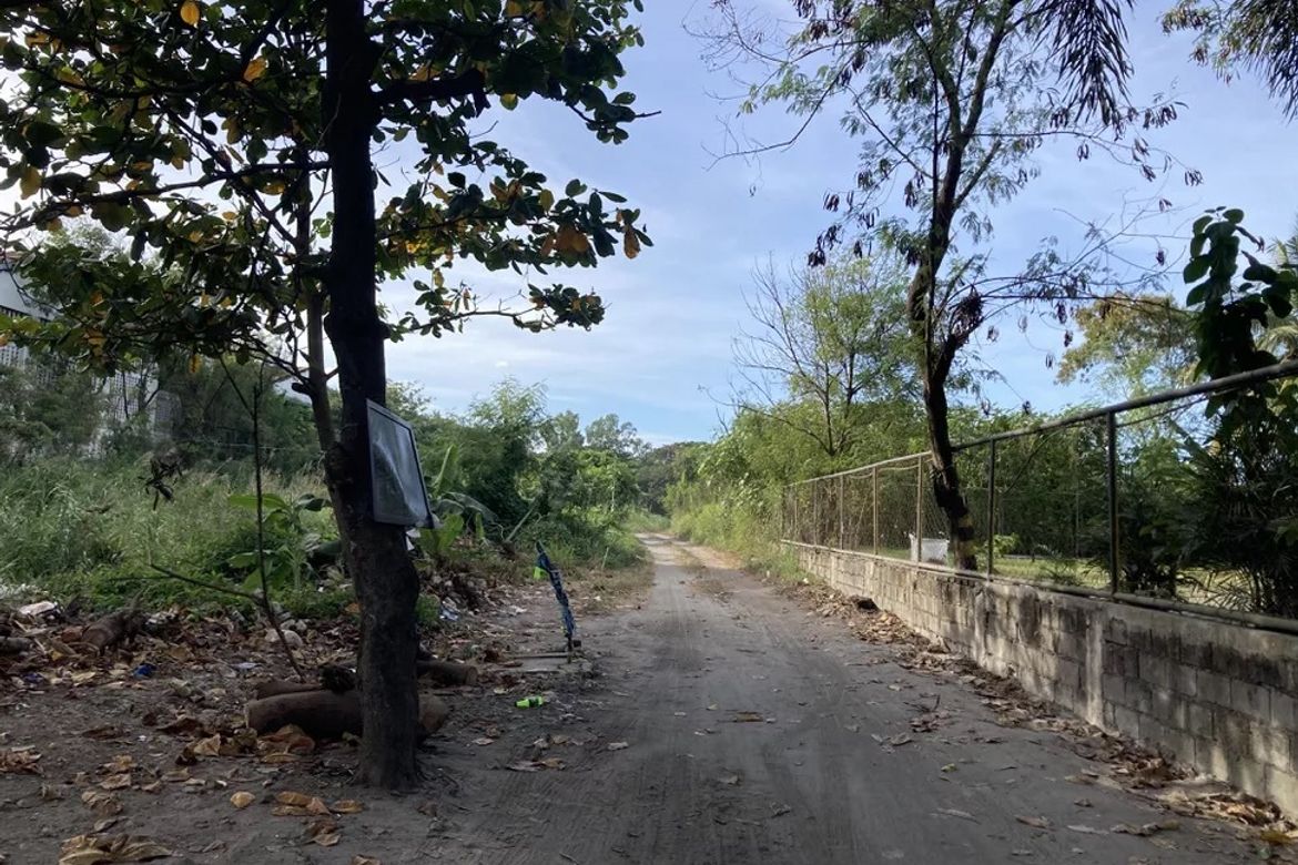 Land for Sale in Guevarra, La Paz, Tarlac – photo 2