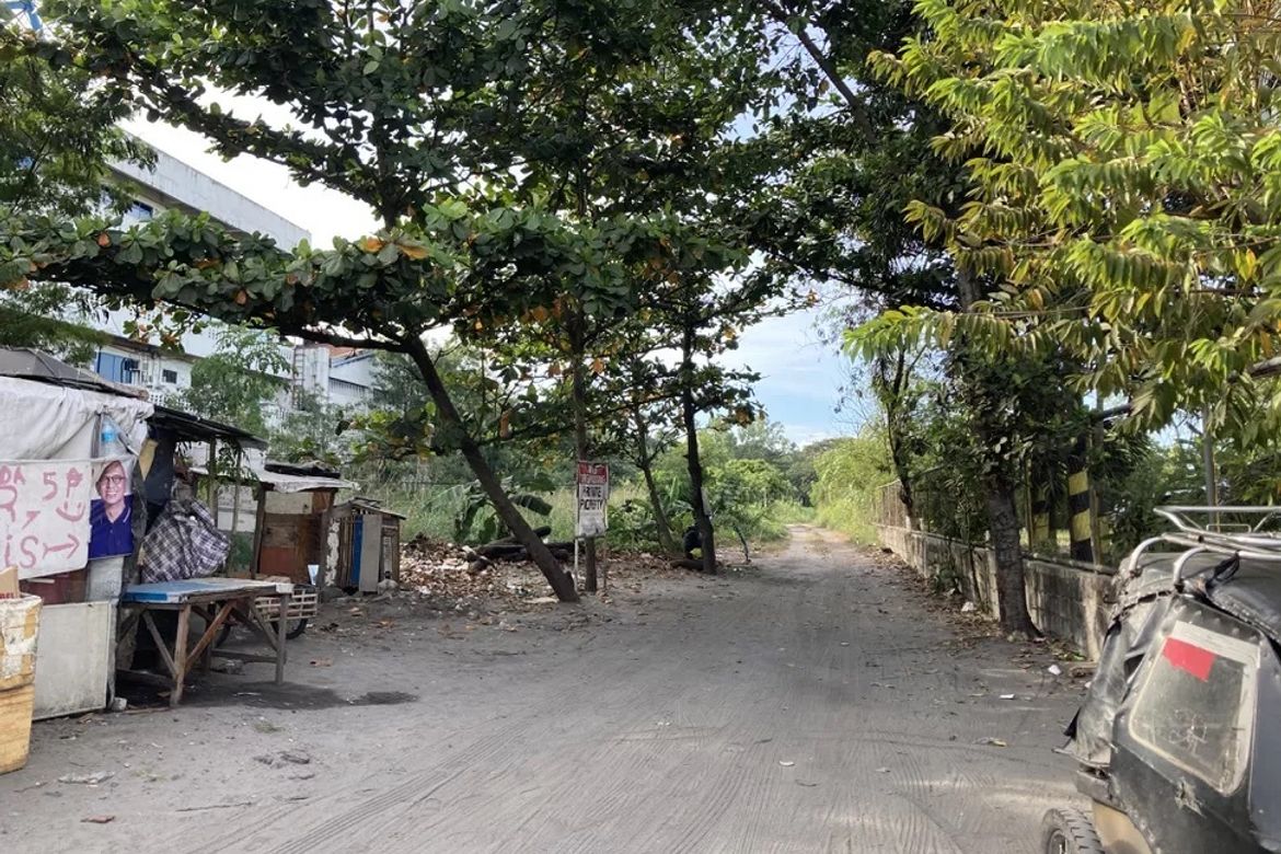 Land for Sale in Guevarra, La Paz, Tarlac – photo 4